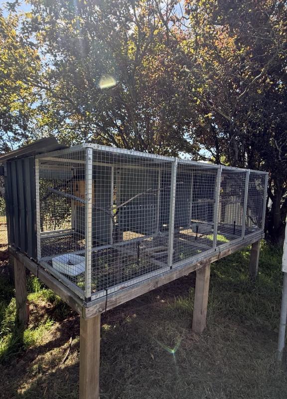 Suspended bird avairy 4 bank