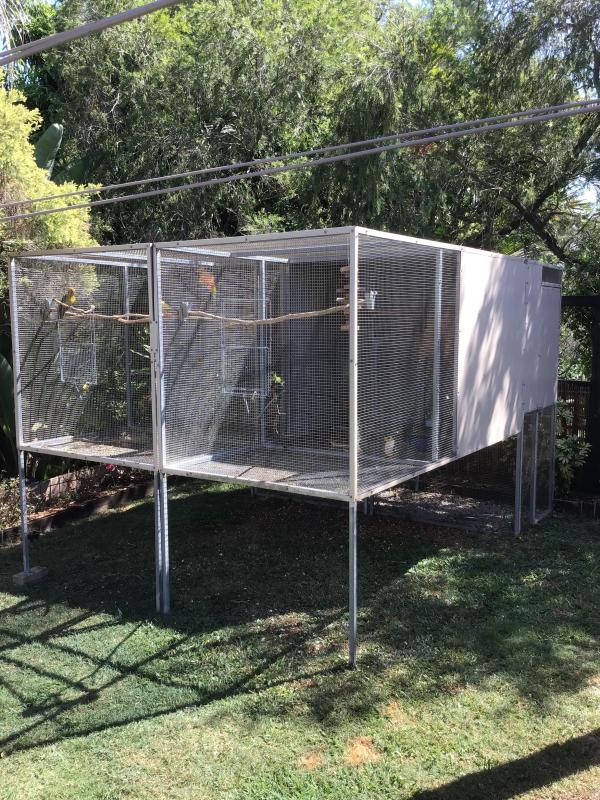 Parrot and aviary package deal