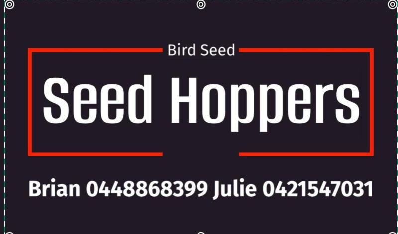 Seed and accessories Fairfield sale 3rd May
