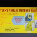 Club rung / Show Budgies
