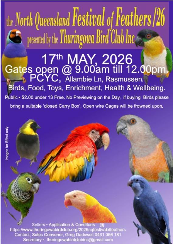 the Bird Sale inTownsville