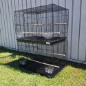 Bird Cages and accessories