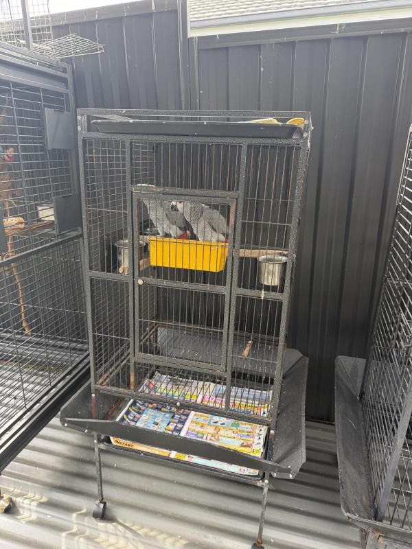 Different brand new & secondhand Cages & Cary cage s available