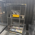 Different brand new & secondhand Cages & Cary cage s available