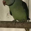MALABAR
