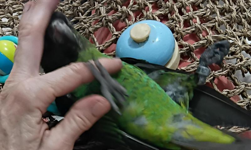 ...
