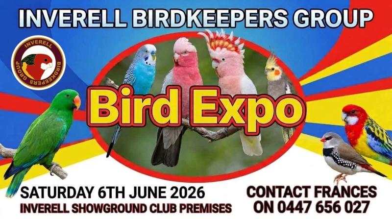 INVERELL BIRD EXPO