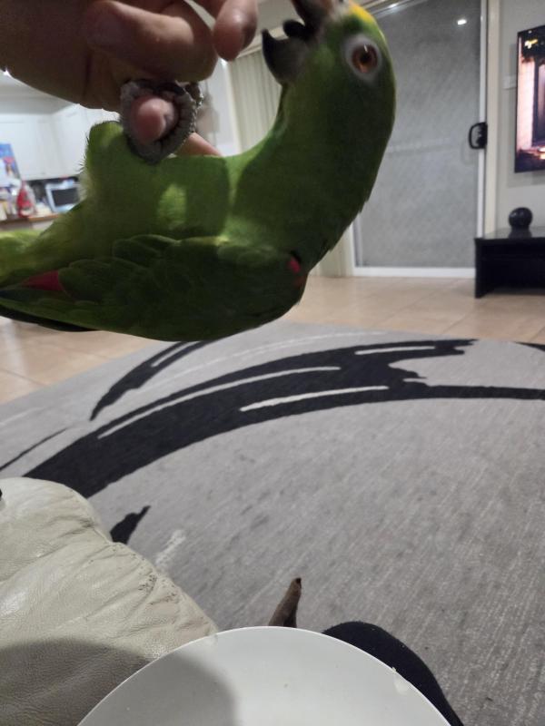 ...