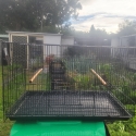 Wire cages