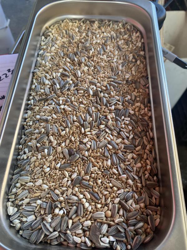 Shepparton Bird Expo 17th may 2026