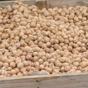 Nut run on the way to the cessnock sale this weekend