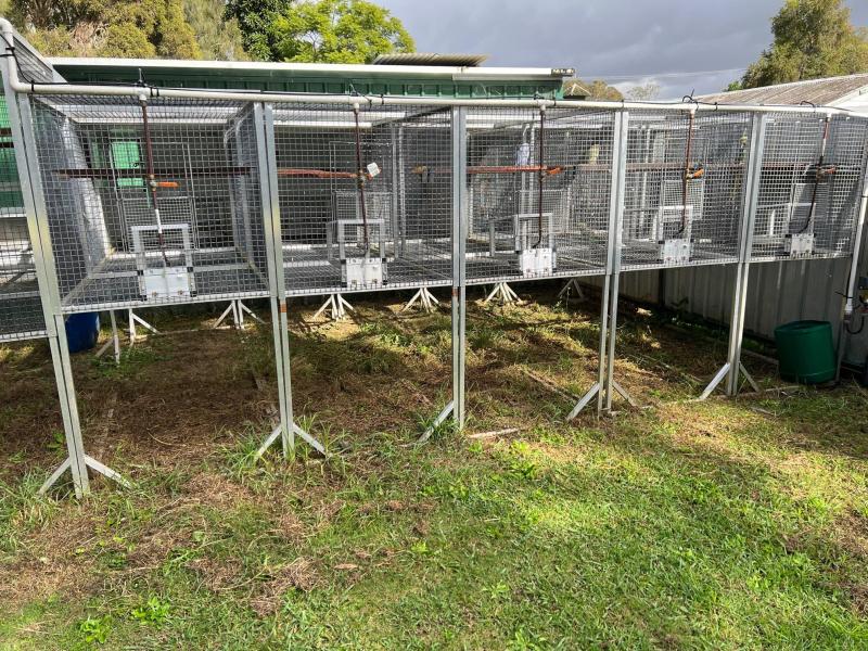 Aviaries cagers