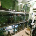 PRICE DROP, three five foot tanks with sliding lids $300 all three