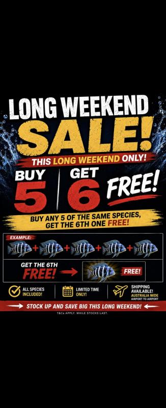 LONG WEEKEND SALE BUY 5 GET THE 6TH FREE