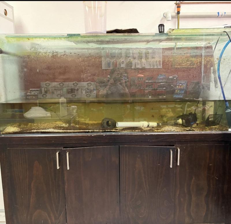FS: 6x2x2 fish tank + SUMP + Stand