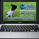 dog boarding or sitter