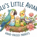 WTB Baby Birds for hand raising