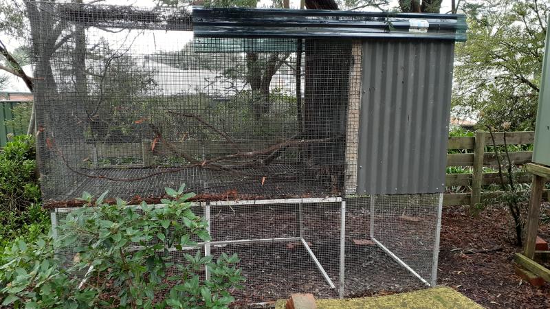 Single-flight Suspended Aviary