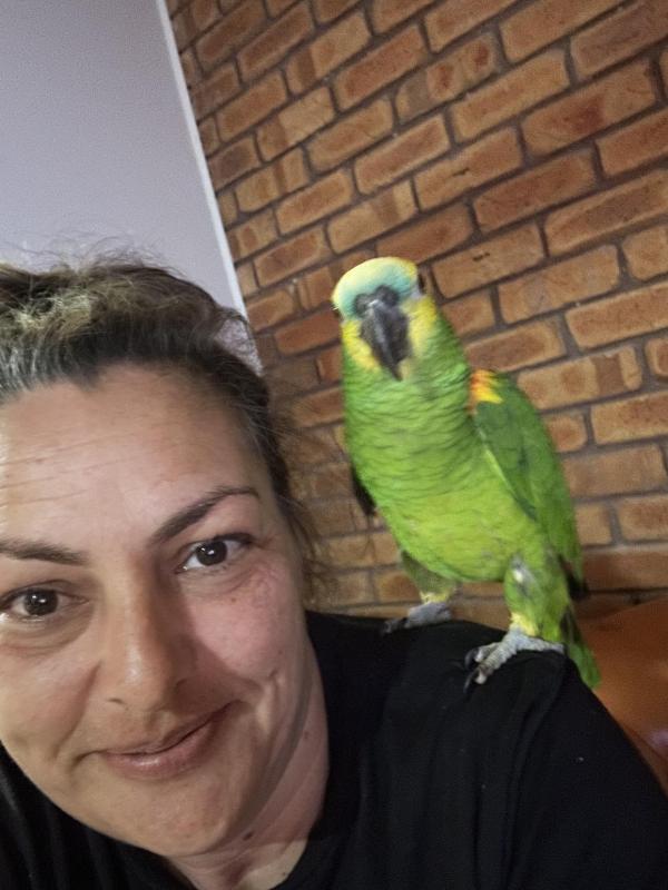 DOWNSIZING- Various Aviary Birds, Hand Birds, Bonded & Breeding Pairs