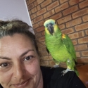 DOWNSIZING- Various Aviary Birds, Hand Birds, Bonded & Breeding Pairs