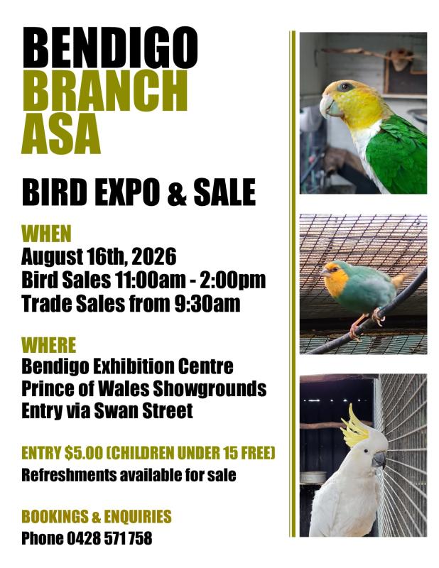 Bendigo Bird Expo (16th August 2026)