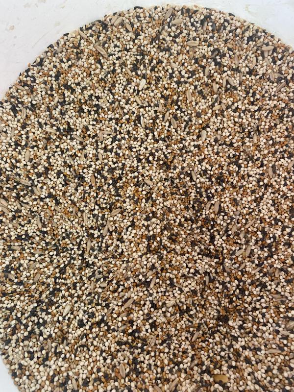 CENTRAL WEST Bird Expo 1st August 2026 FTC SEEDS There