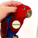 Hand Raised ECLECTUS For Sale