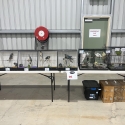 Parrots available at Hawksberry sale