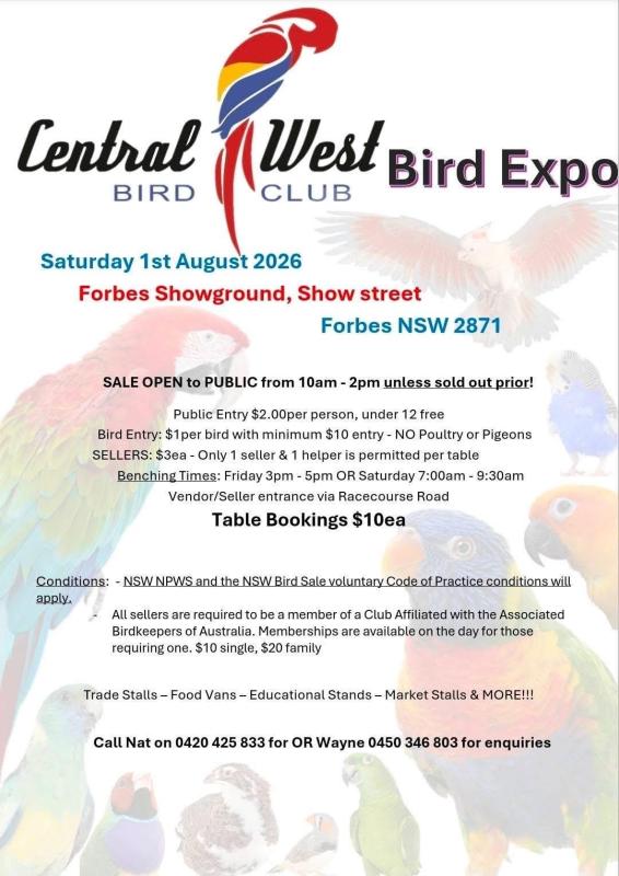 Forbes sale 1st August
