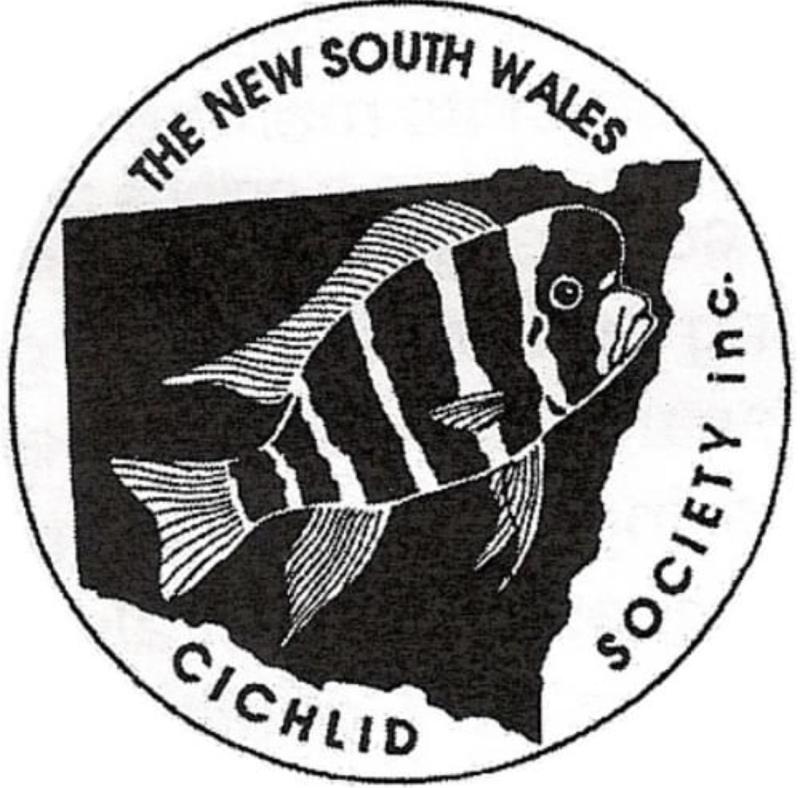 Mega Cichlid & Fish Raffle