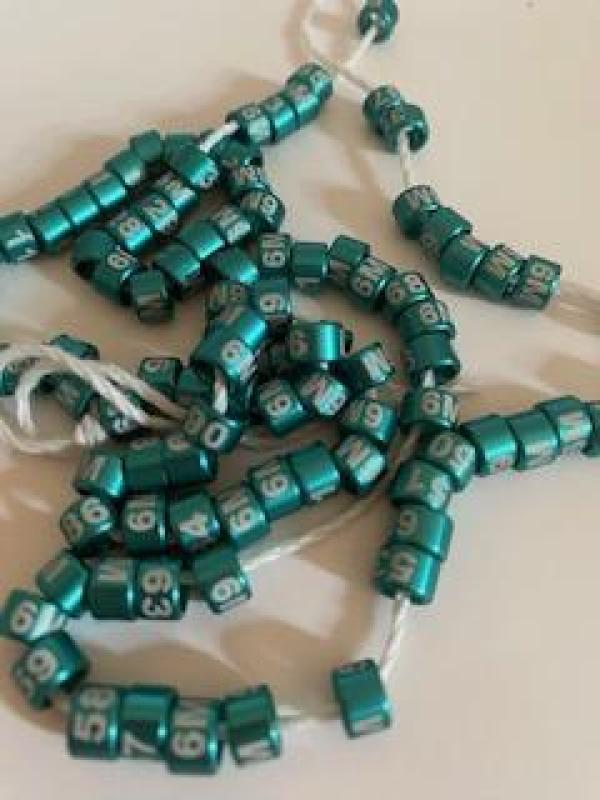 CLOSED Large Show budgie rings Leg Bands Alum Numbered GREEN 2026 colour 4.5mm