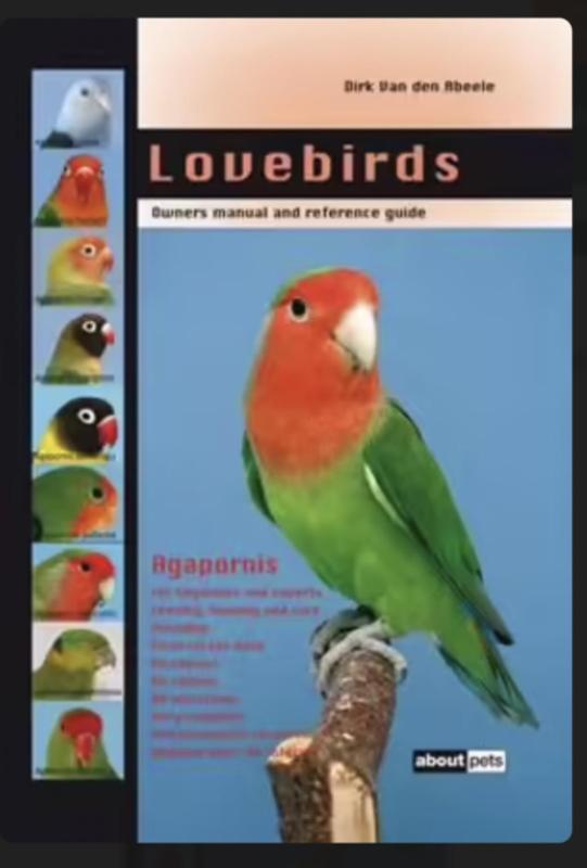 Looking for this love bird book