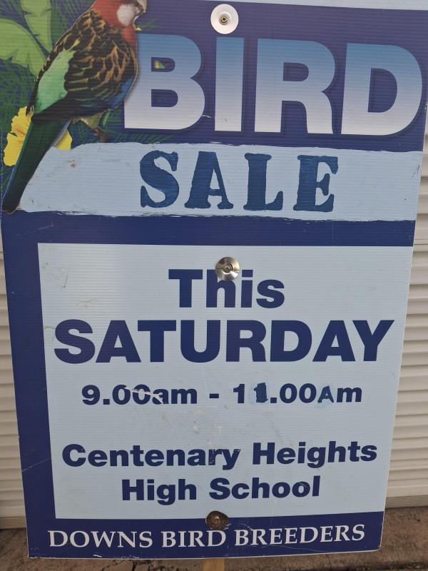 Downs Bird Breeders association Bird sale