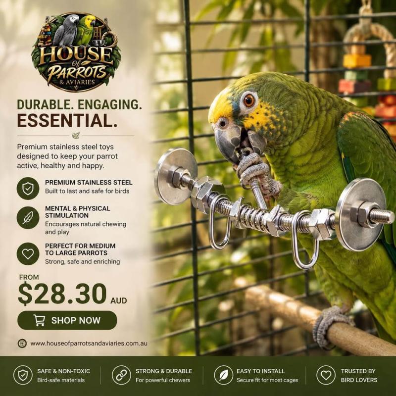Premium stainless steel bird toy