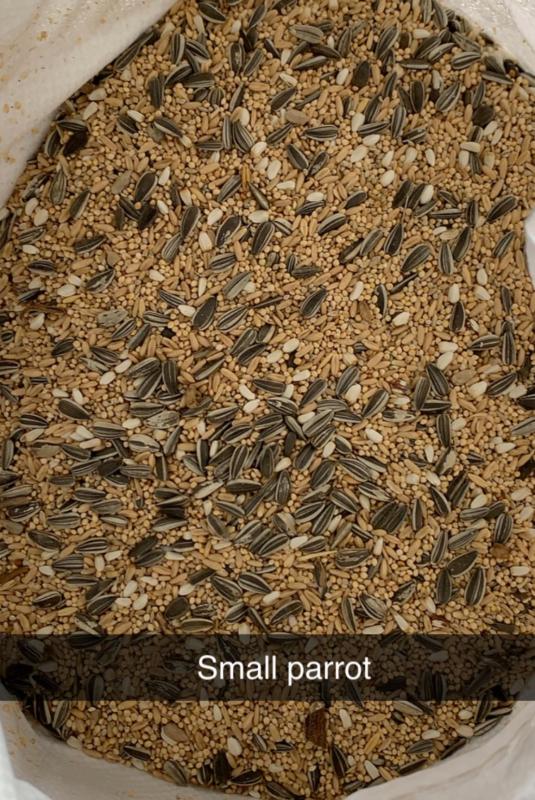 Maitland finch sale 18th October seed and accessories