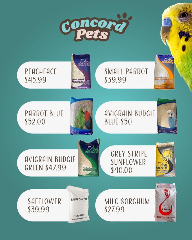 Bird Seed  At Concord Pets