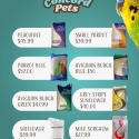 Bird Seed  At Concord Pets