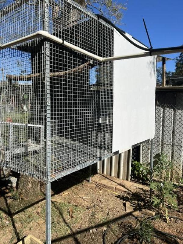 Aviaries cages lot to go