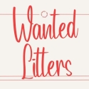 Wanted litter of mini Dachshunds