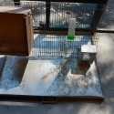 CAGE FRONT SETS (CHEAP)