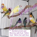 Bonded proven successful pair