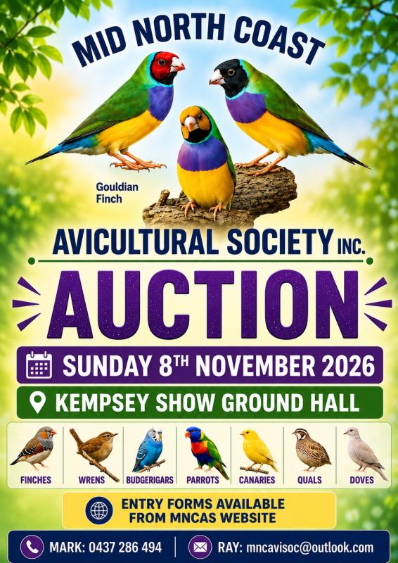 Mid North Coast Avicultural Society Bird Auction