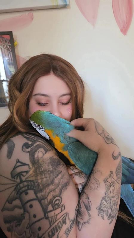 B&G macaw