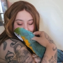 B&G macaw