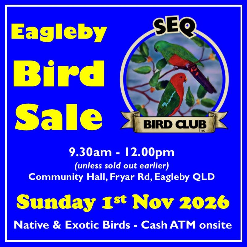 Eagleby BIRD SALE Sunday 1st November 2026 SEQ Bird Club Inc.