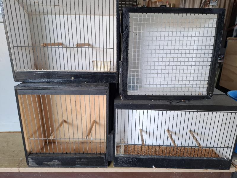 Bird carry boxes
