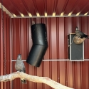 Carnaby cockatoo br pr