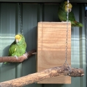 DYH Amazon pair