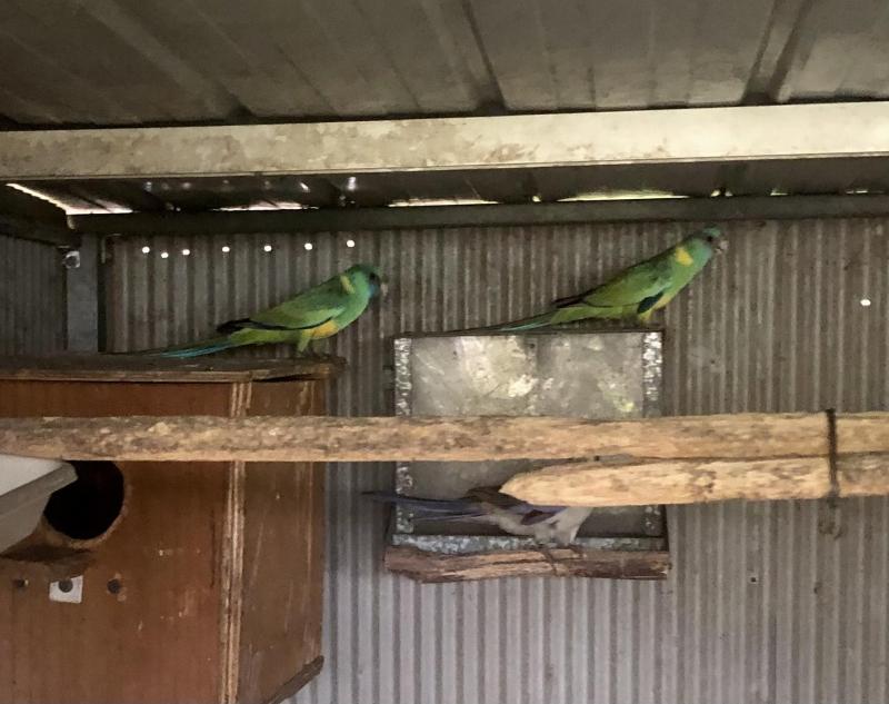 ...